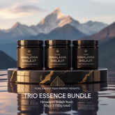 Shilajit 50gm x 3 Bundle – 100% Pure Himalayan Resin | 90 Days Natural Energy, Stamina & Wellness Supplement