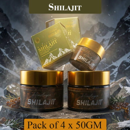 Shilajit 50gm x 4 Bundle – Premium Himalayan Resin | 120 Days Energy, Strength & Wellness Supply